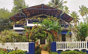 Curlies Club Goa